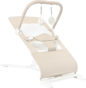Baby Delight Alpine Deluxe Portable Bouncer, Infant 0-6 Months